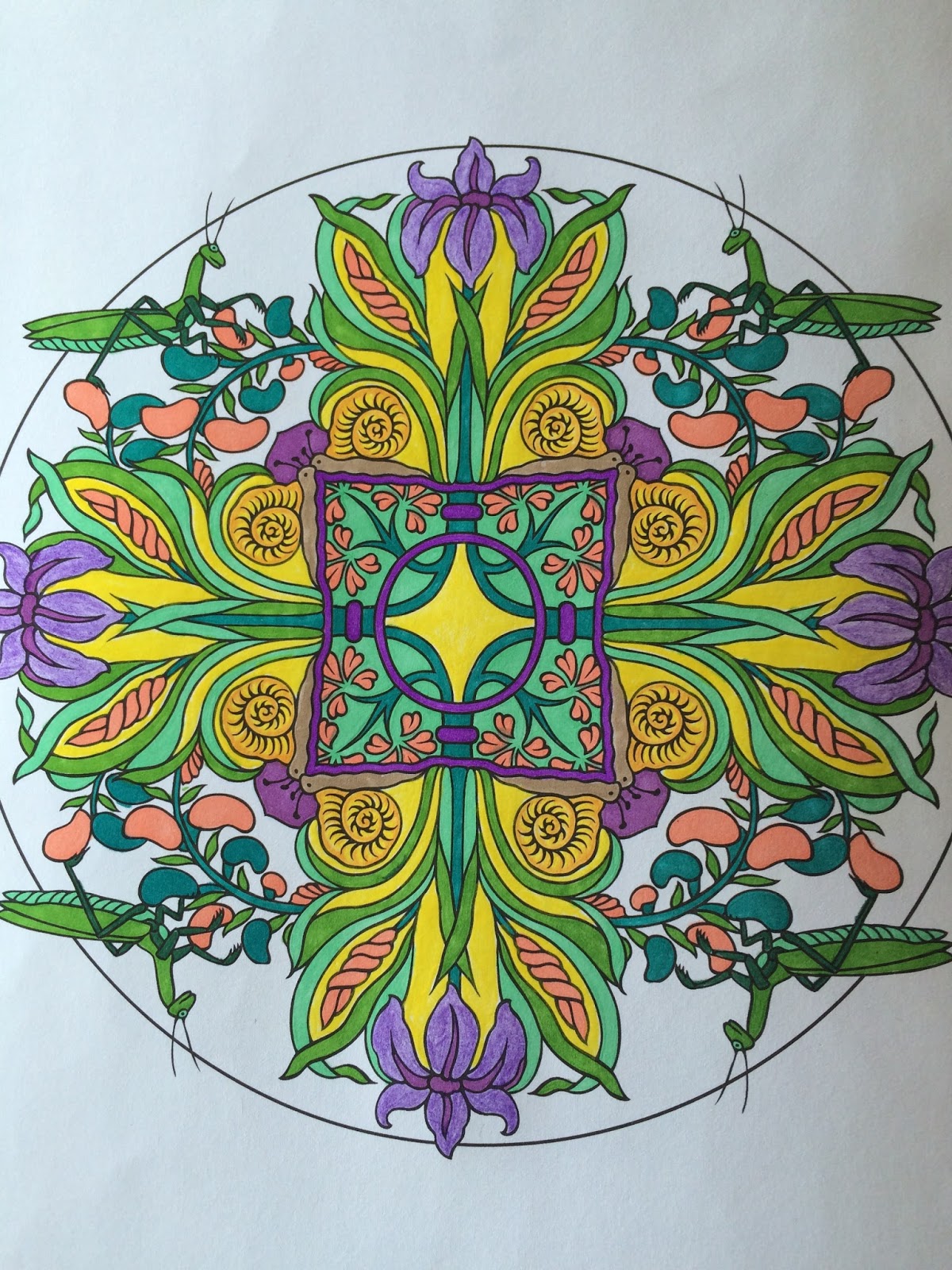 Another Mandala Created By The Jersey Grandpa