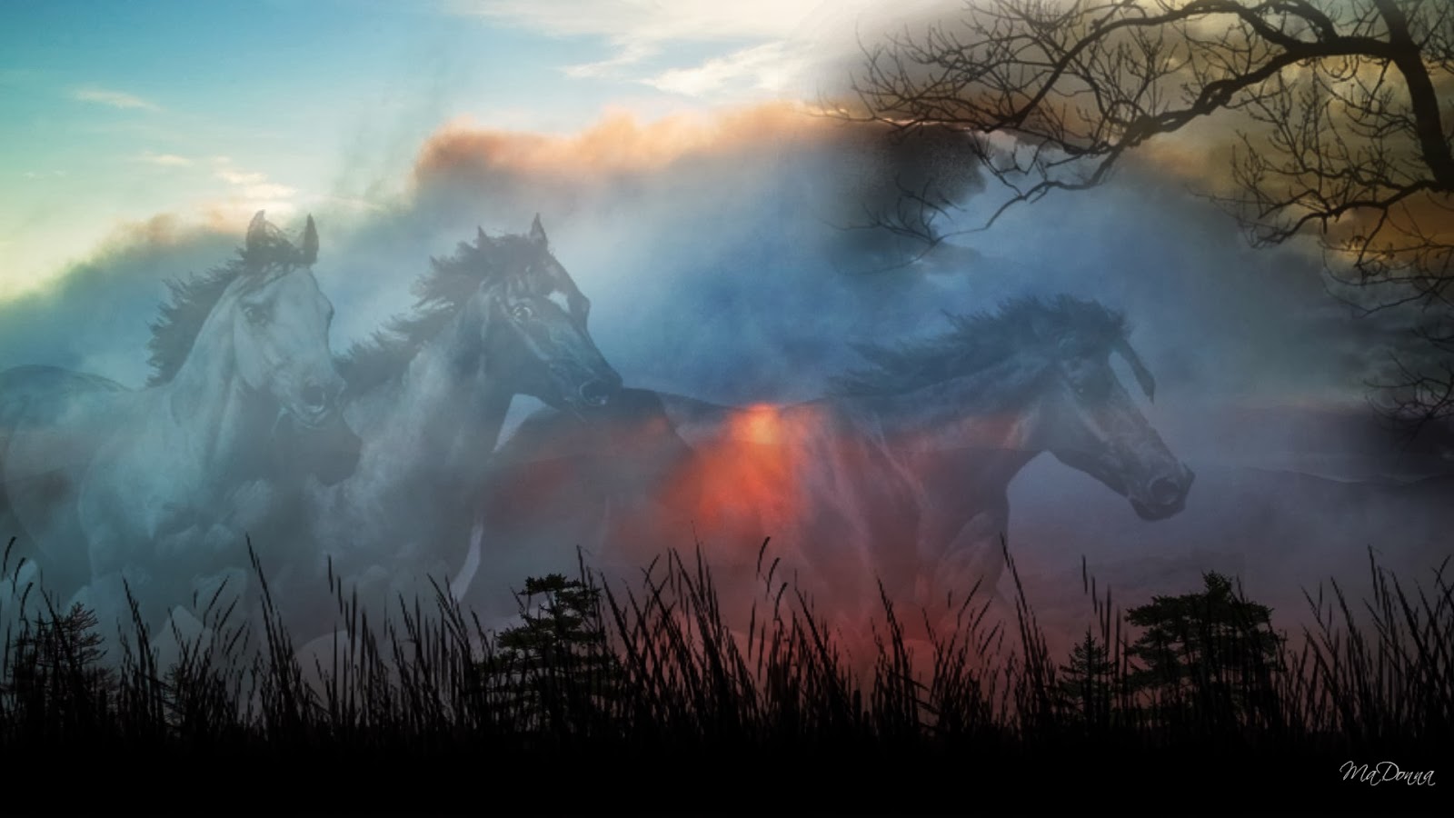 Ghostly Horse Wallpapers ~ HD Wallpapers | Funny Videos | Hot Girls