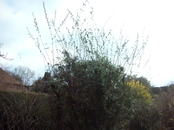 T E R R A I N Taranaki Educational Resource Research Analysis