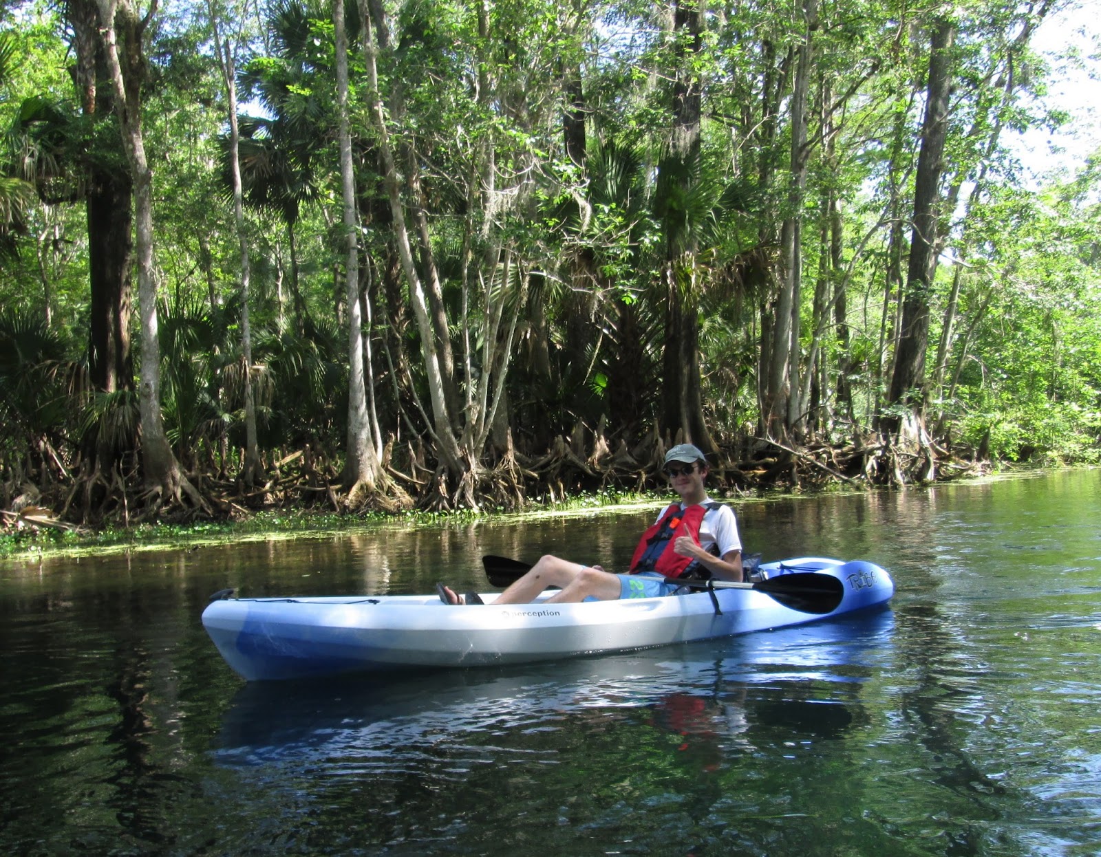 Central Florida Kayak Tours Kayaking with the wildlife on the Silver