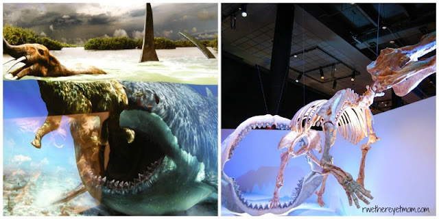 Houston Museum of Natural Science. Travel Writers' Guide: 50+ Best Science Museums Around the World