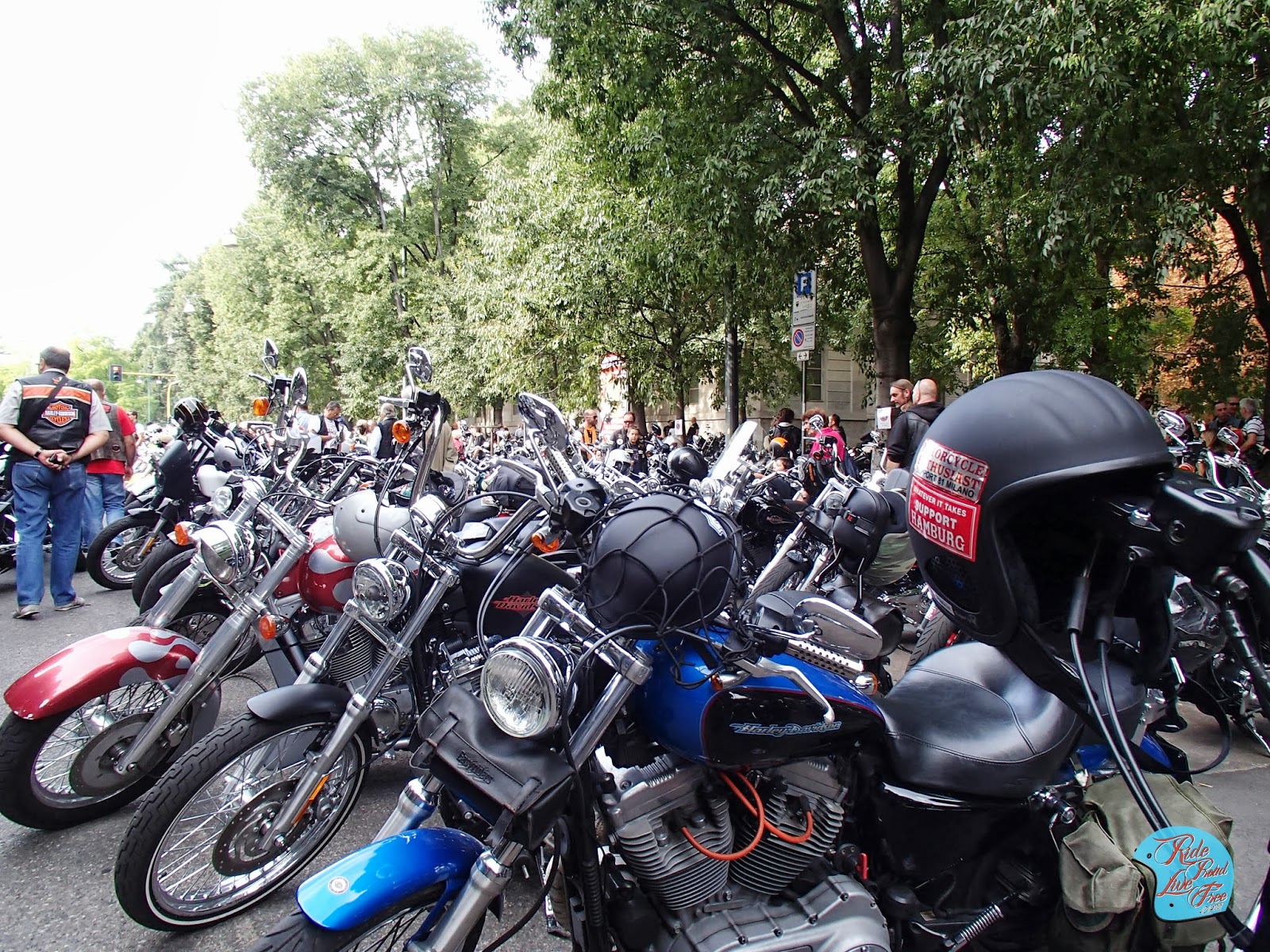 Amc poker run 2013