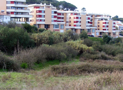 Sesimbra - João Augusto Aldeia 