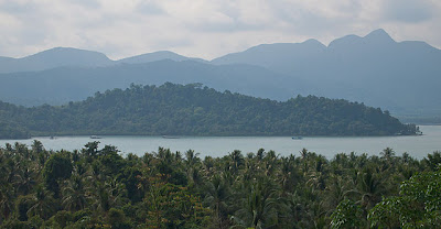 Elephant island