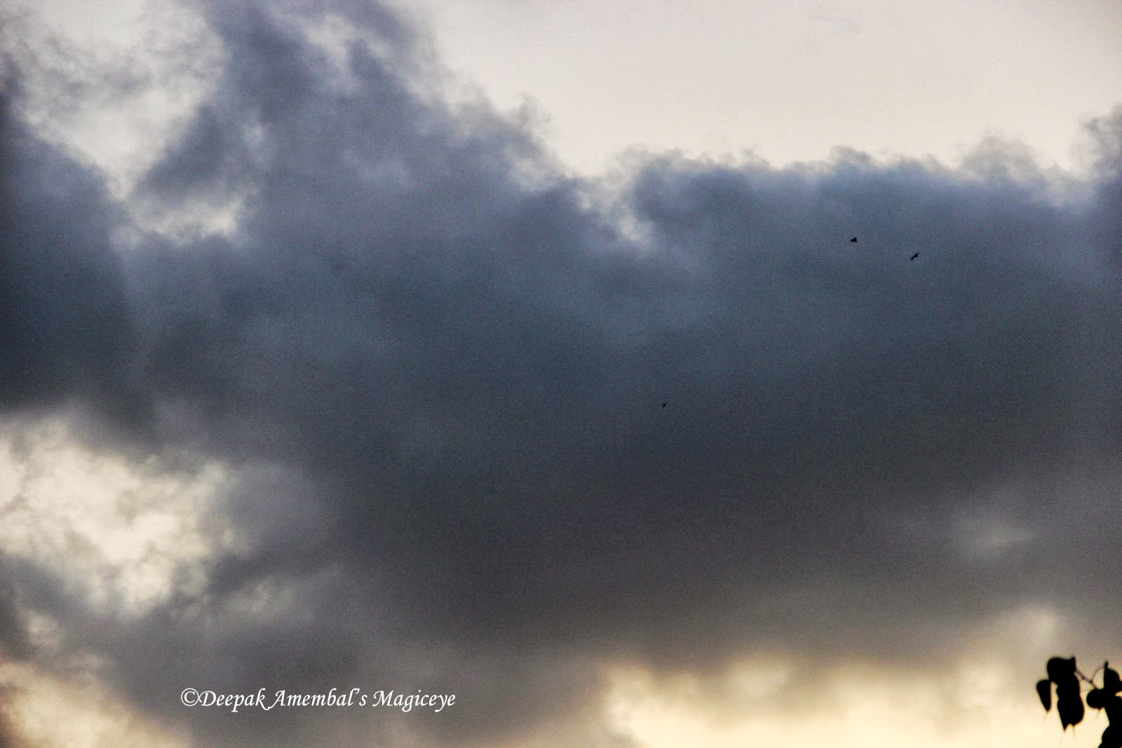 Mumbai daily Thursday Challenge WEATHER (Rain, Snow, Lightning, Wind