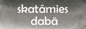 http://mammasrokas.blogspot.com/search/label/Skat%C4%81mies%20dab%C4%81