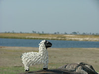The black spotted bead sheep of Botswana, or just Barry (White) to his friends The black spotted bead sheep of Botswana, or just Barry (White) to his friends