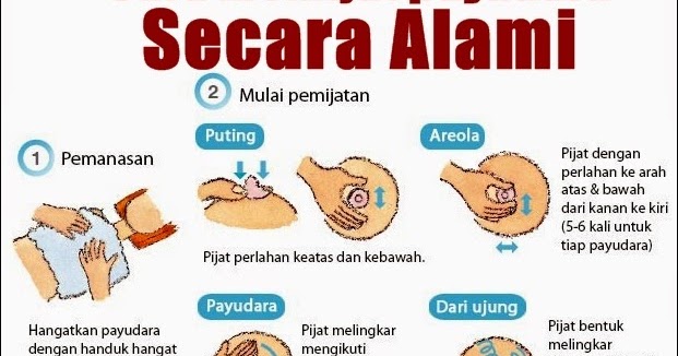 Gambar Cara Memijat Payudara Untuk Membesarkan Dan Mengencangkan Payudara Cara Memijat Payudara Untuk Membesarkan Dan Mengencangkan Payudara