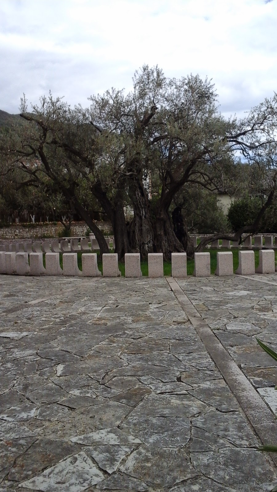 Kahve Falinda Balta Gormek Modanium