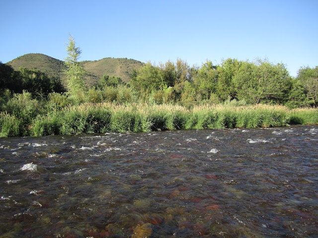 Roaring+Fork+River+Scenery+with+Jay+Scott+Outdoors+3.JPG
