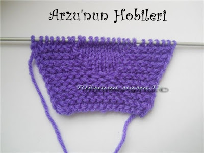 Arzunun Hobileri: Şubat 2011