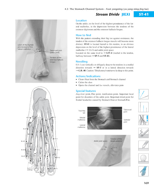 Acupuncture Masters Acupuncture Points Database Stomach channel