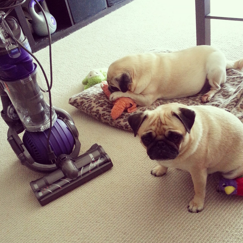 Housewife 2 Hostess How to Clean a White Sofa