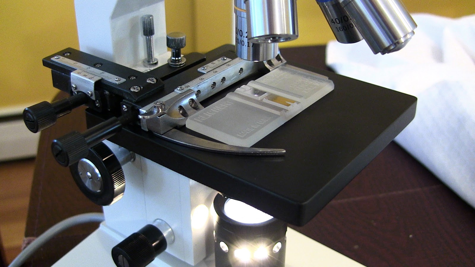 Woodland Brewing Research Amscope Binocular Compound Microscope