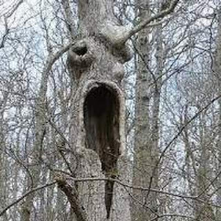 Một số chuyện sưu tầm Tâm Linh