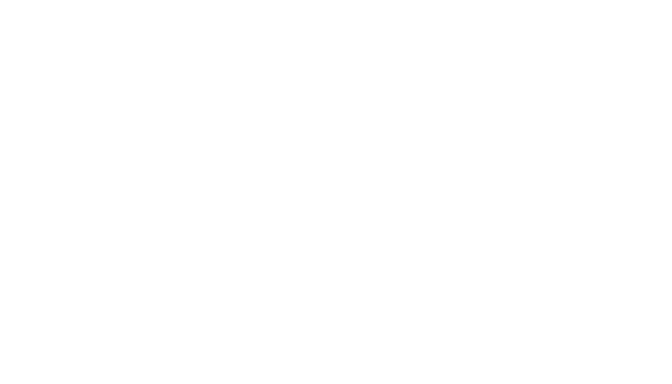 vida plena