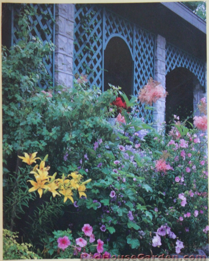 Red House Garden Creating Beds and Borders Book Review