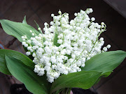 bouquet muguet (muguet)