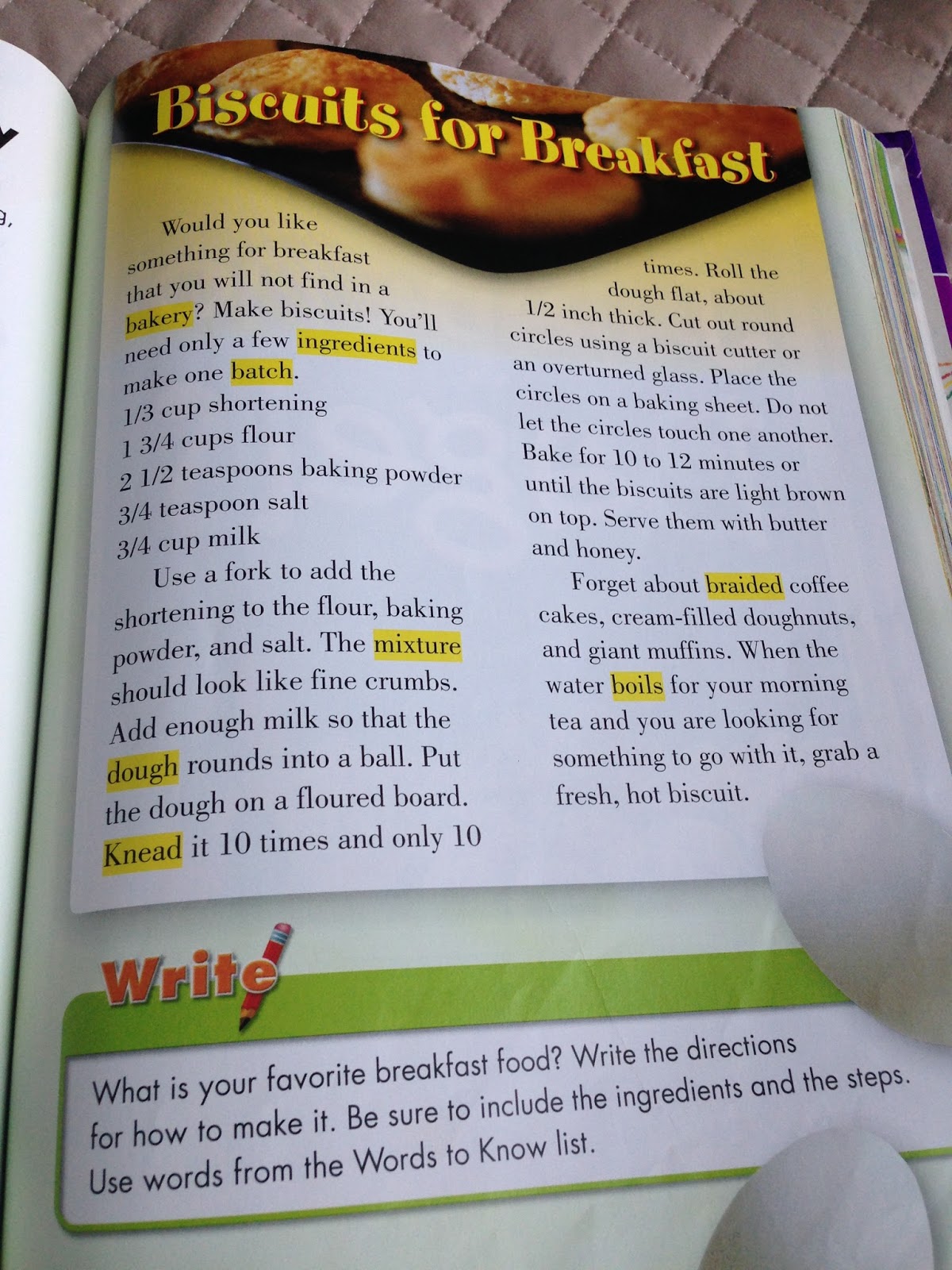 Biscuits for Breakfast