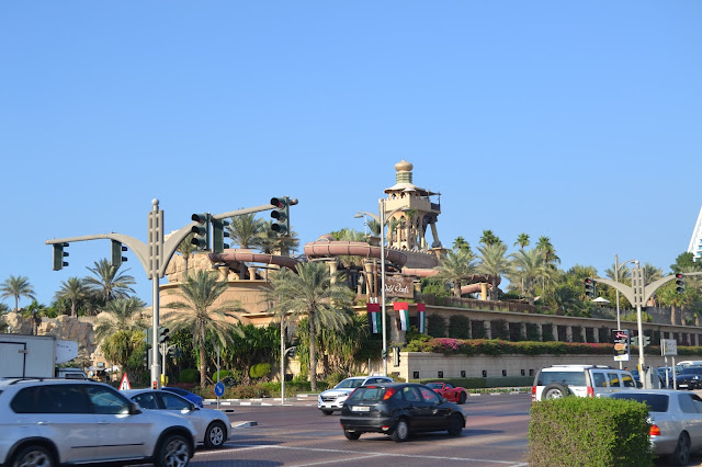 DSC_0287.JPG
