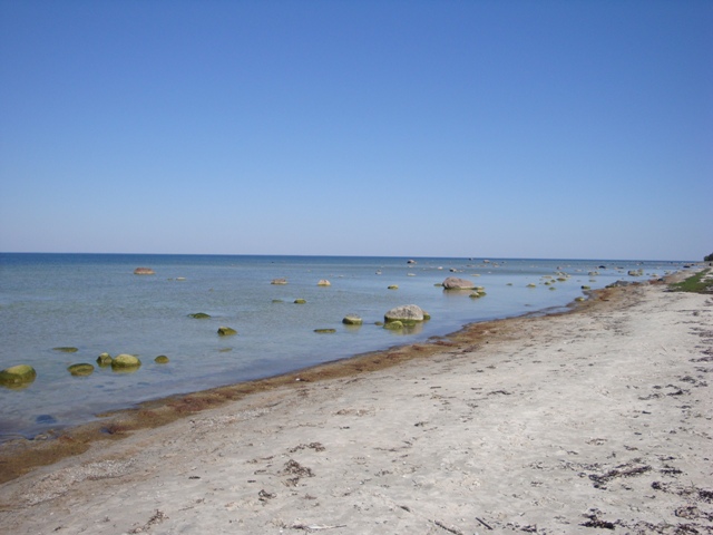 Alliklepa rand / Alliklepa Beach Beauty by Miss L