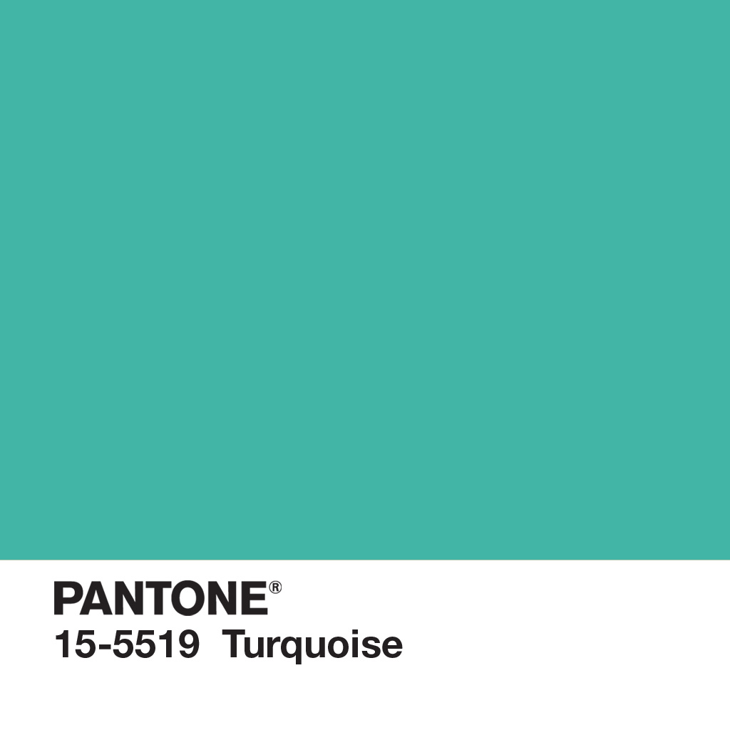 Mr. Bunny: ¿Qué es Pantone?