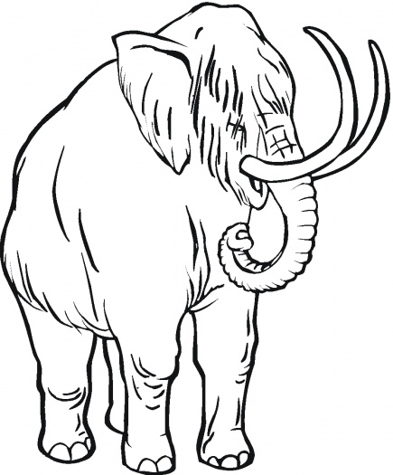Woolly Mammoth Coloring Pages