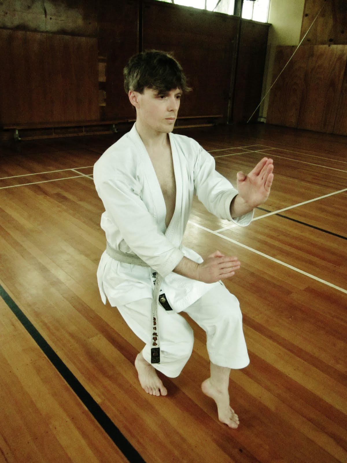 André Bertel's Karate-Do: ANNOUNCEMENT: 精神と技法