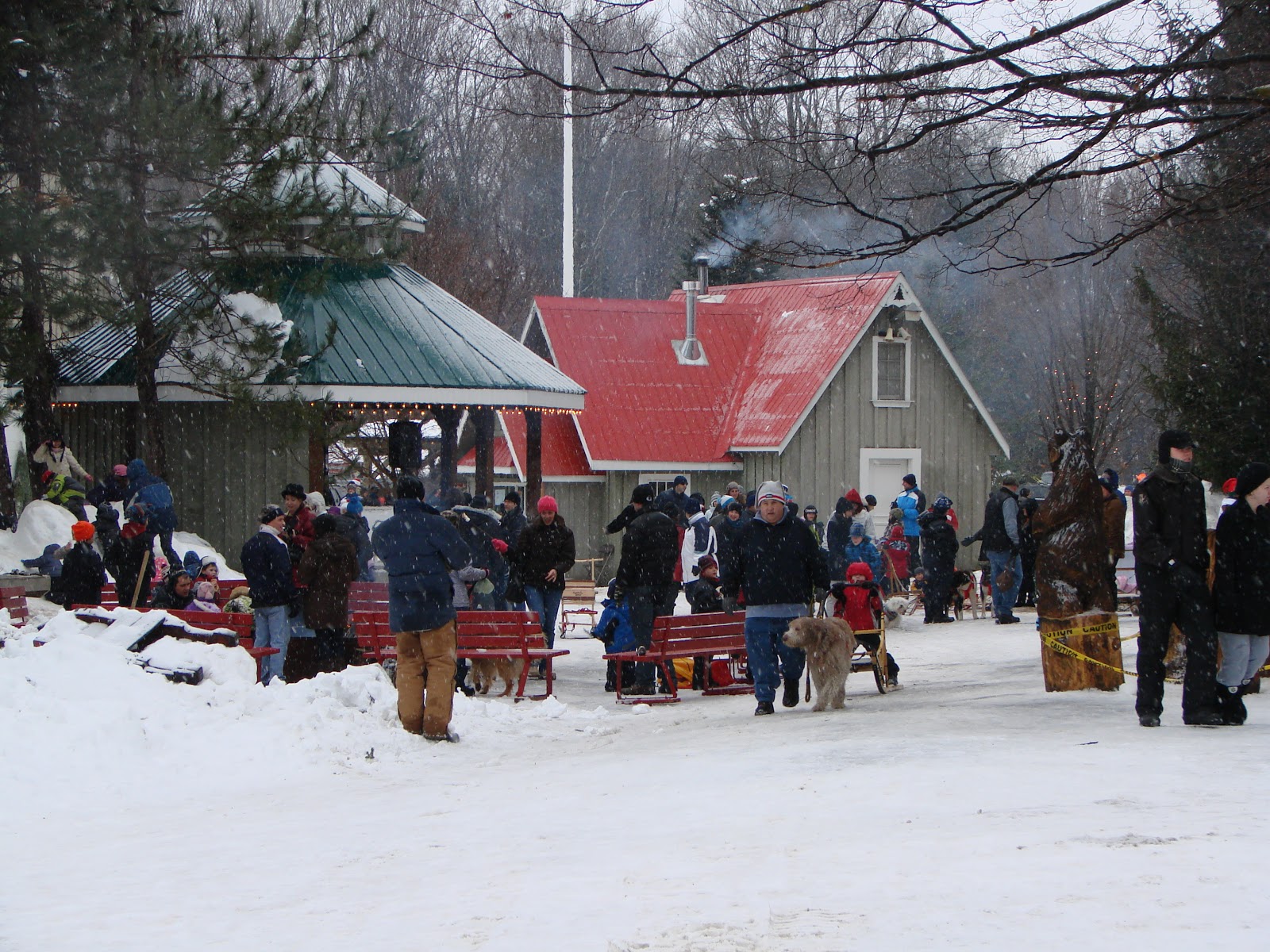 Jenn's Random Scraps Memories of Drysdale's Tree Farm