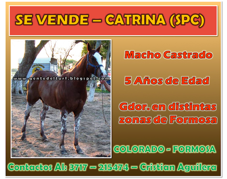 En Venta Catrina