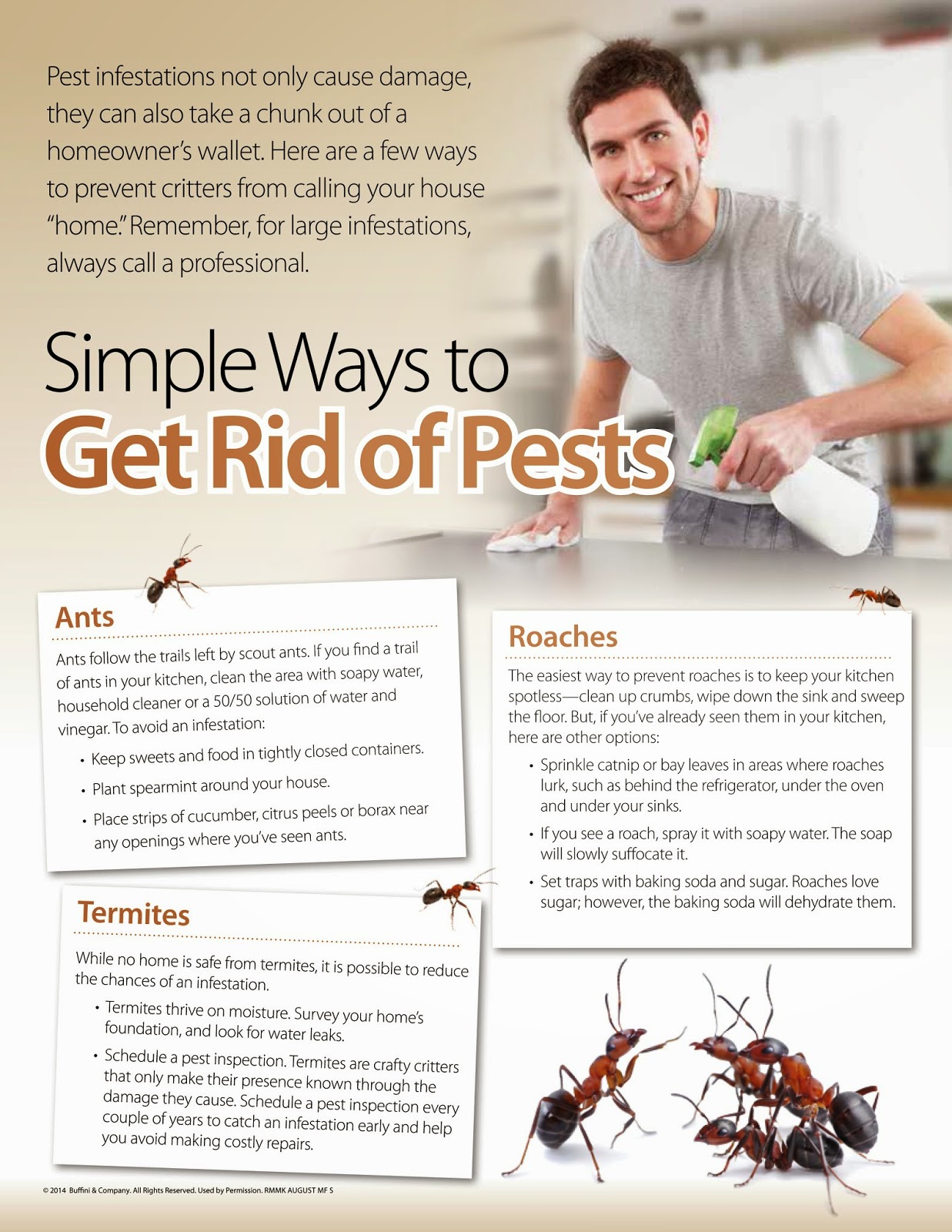 Nina Bhanot's Real Estate Blog Simple Ways to Get Rid of Pests