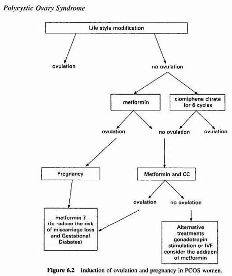 Charting Ovulation With Pcos