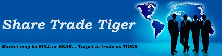 ShareTradeTiger