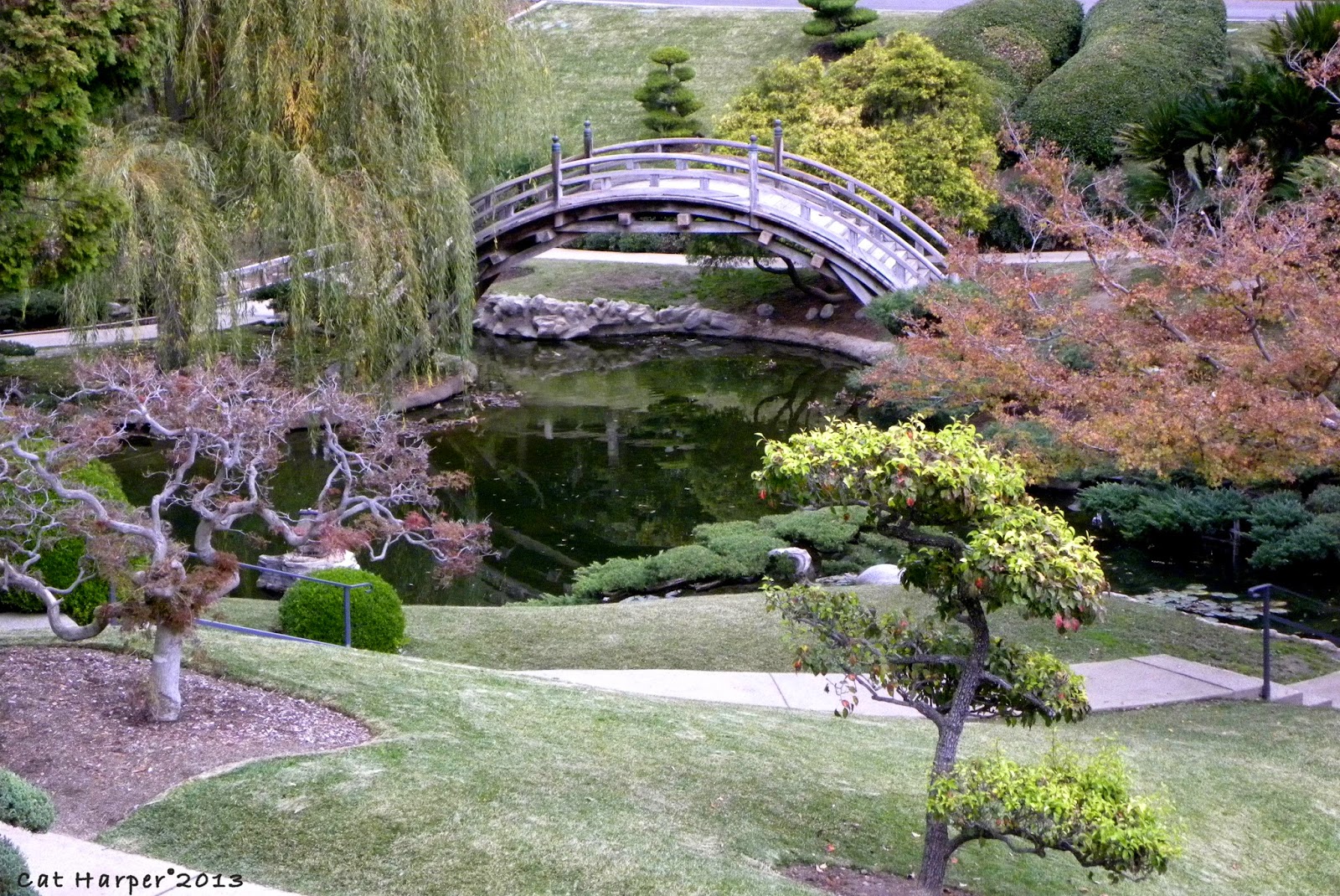 Shutterbug Traveler Los Angeles The Huntington Library Gardens