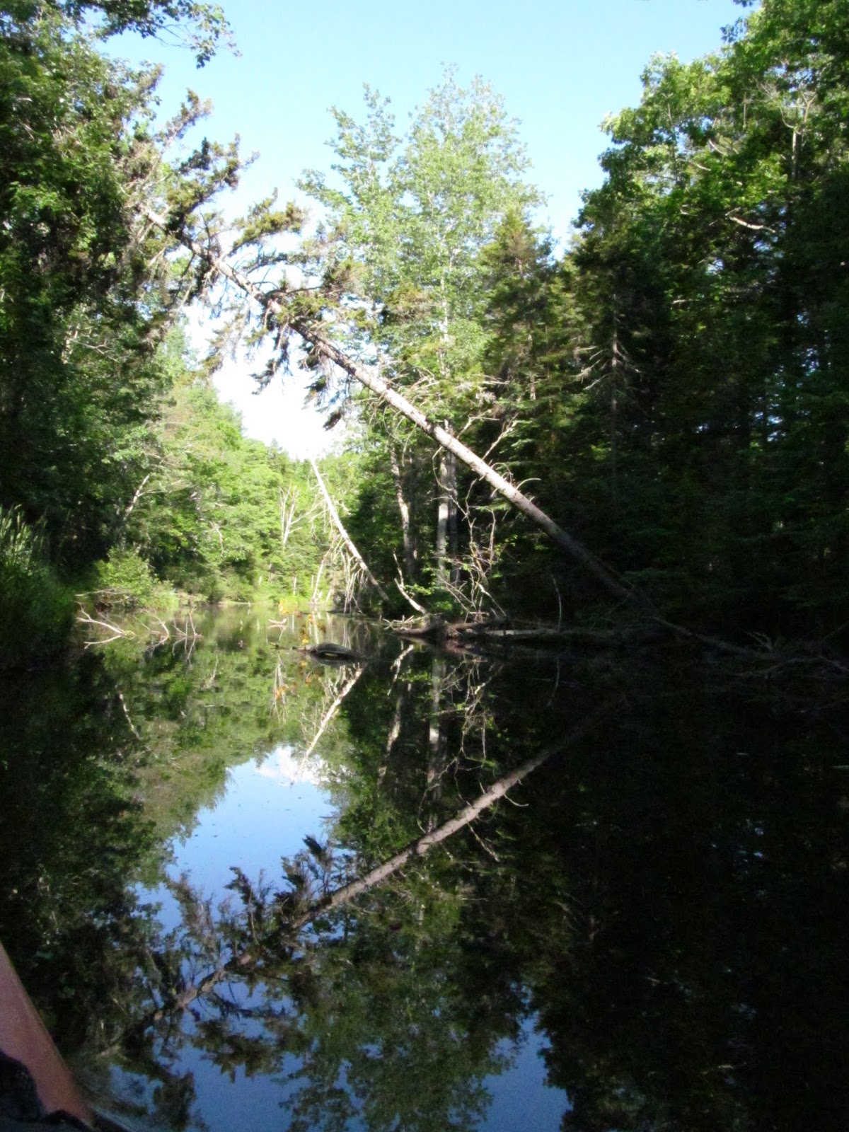 Recreational Kayaking in Maine Upper Pleasant Pond, Richmond, Maine