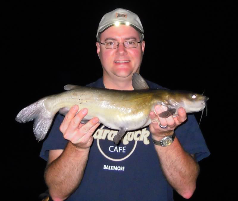 FishnDave FlyFishing for Catfish