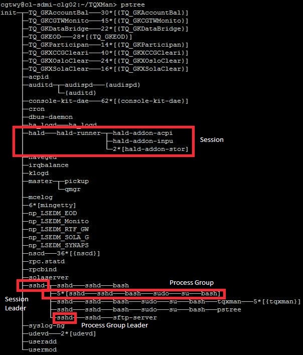 Detaching a process from terminal exec(), system(), setsid() and nohup