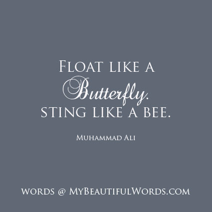 My Beautiful Words The Butterfly And The Bee
