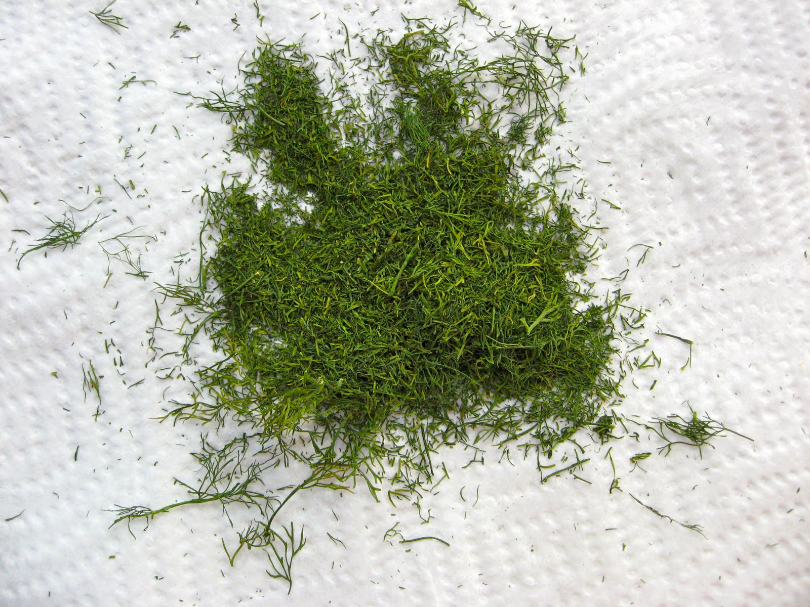 she's in the kitchen dillyicious home drying fresh dill in the