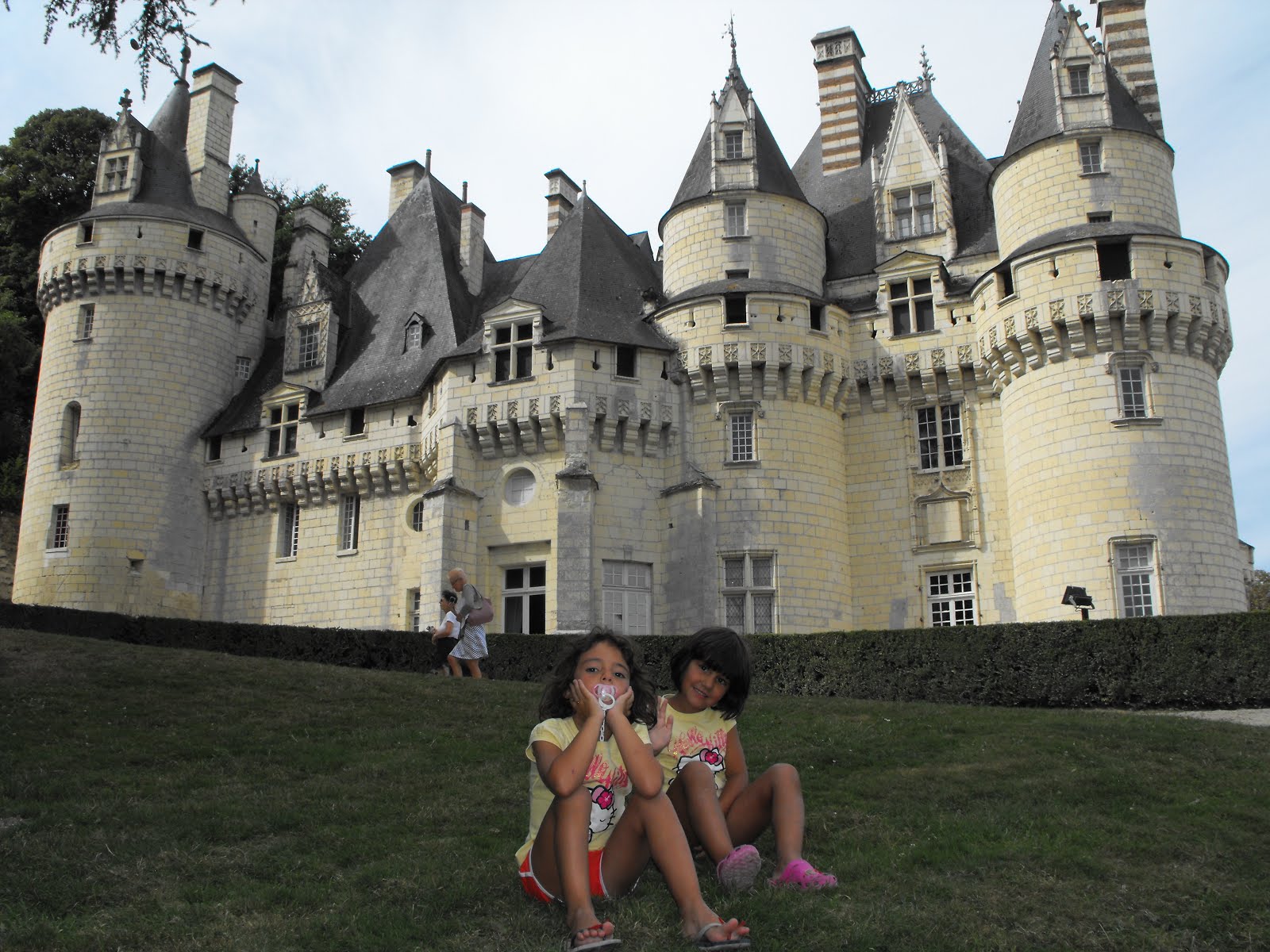 I Castelli della Loira