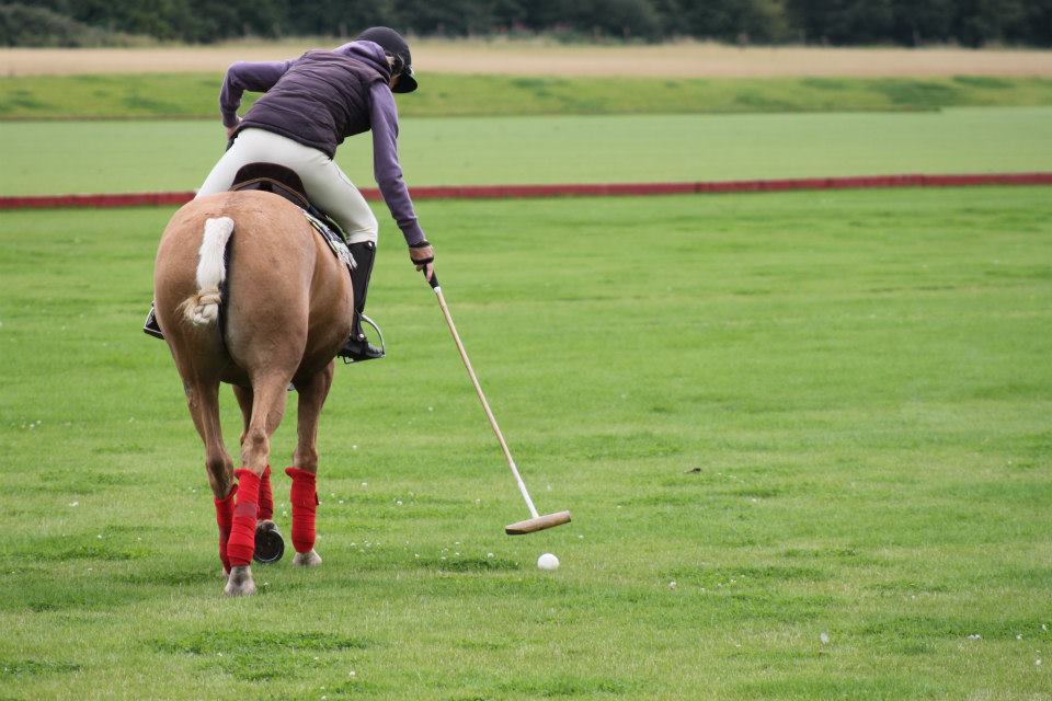 "You're in my line of ball..." My polo experience day. Sian Lovatt