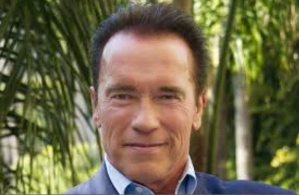 download hollywood movie arnold schwarzenegger best movie