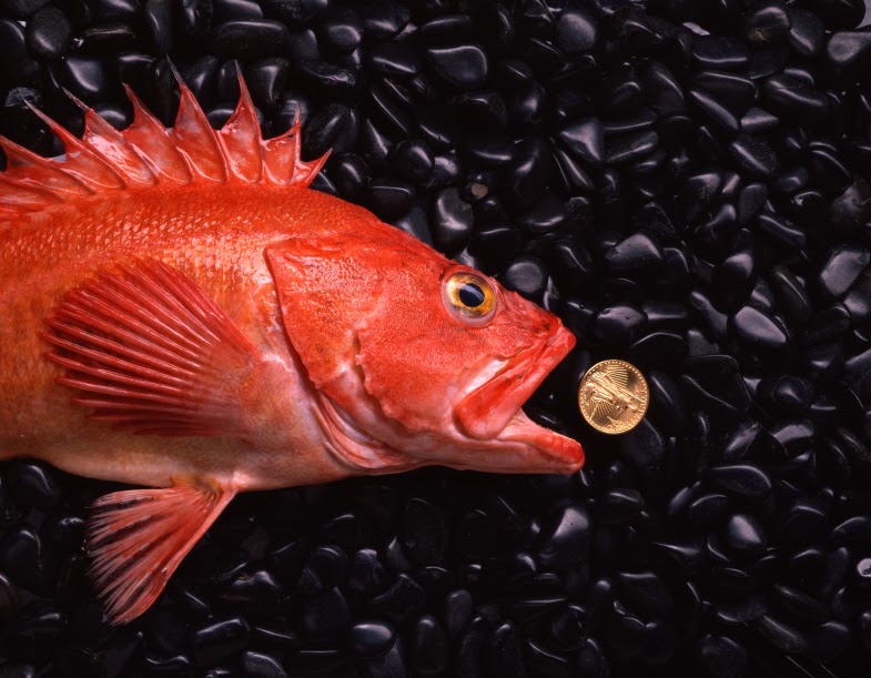 epexegesis Did Jesus have to pay taxes? (Matthew 172427)