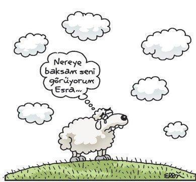 komik hayvan karikaturleri facebook paylas komik fotograflar komik resimler en komik gifler