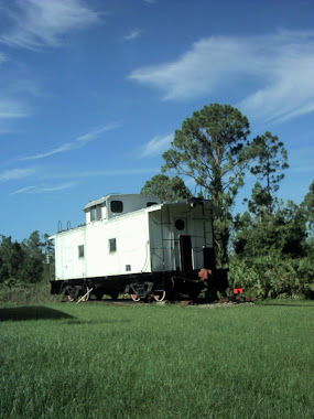 White Caboose