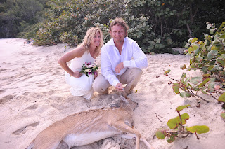 Virgin Islands Wedding