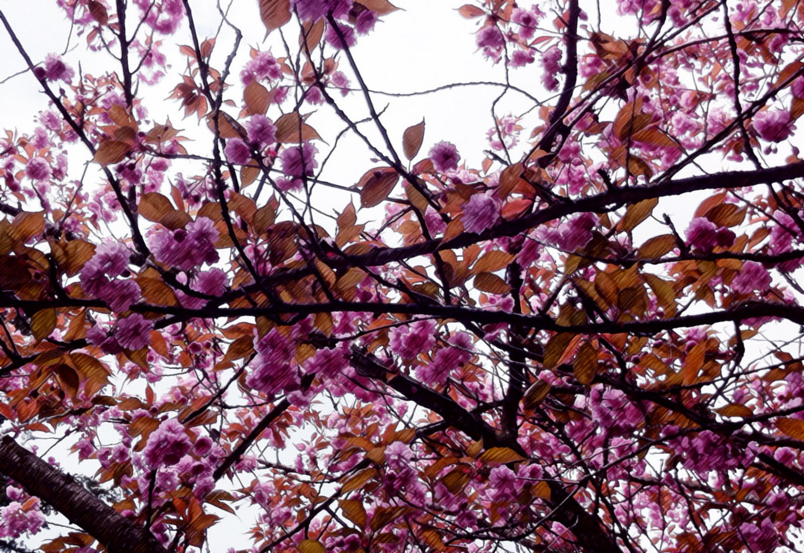 Metaphorical Analogy Tangled Flowers