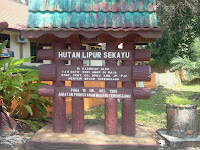 Berkelah di Air Terjun Sekayu, Hulu Terengganu