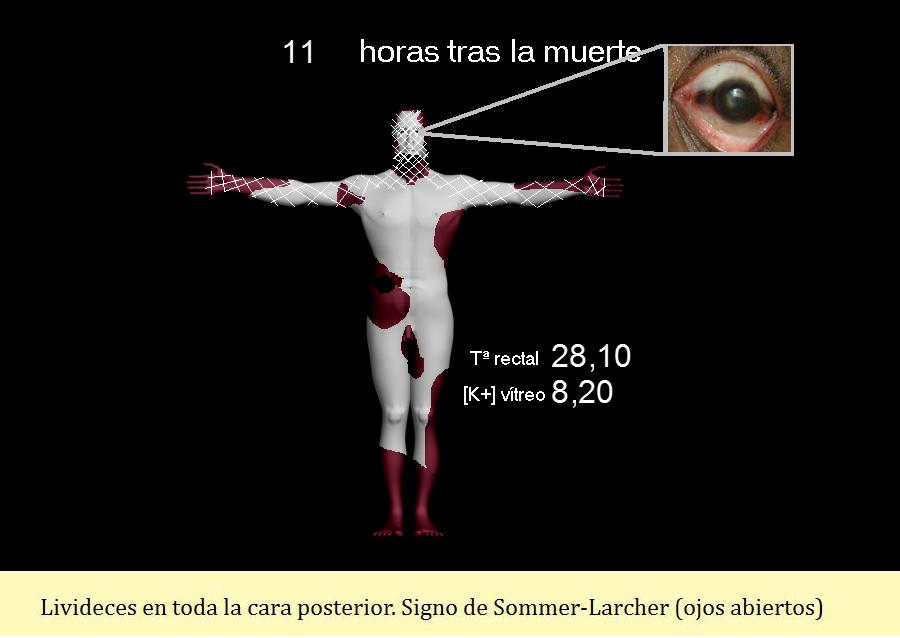 JUEGOS MEDICINA juegos medicina: