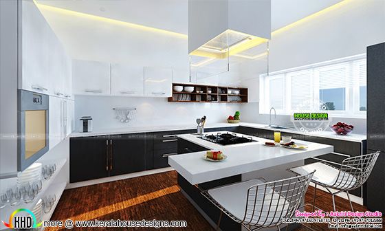 Contemporary style Kitchen interior